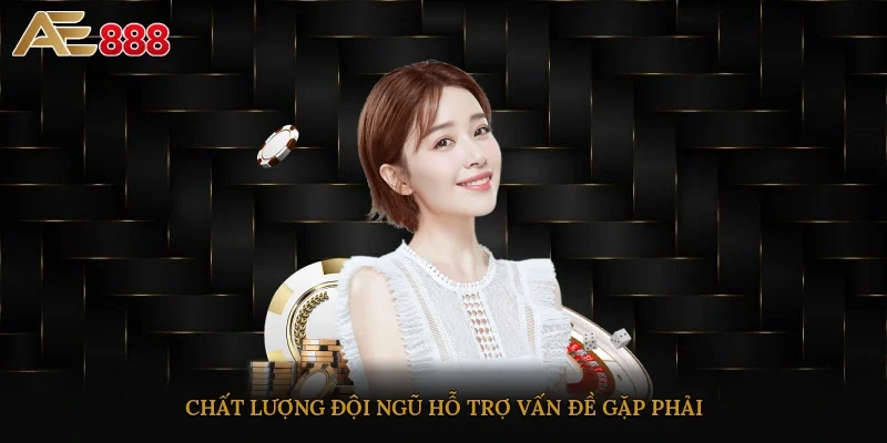 Chất lượng đội ngũ hỗ trợ vấn đề gặp phải